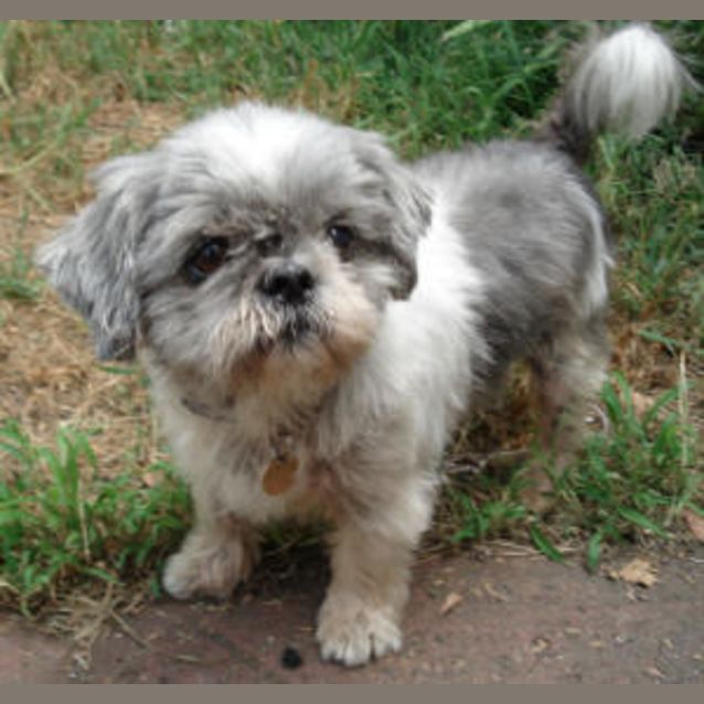 Photo of Keiko