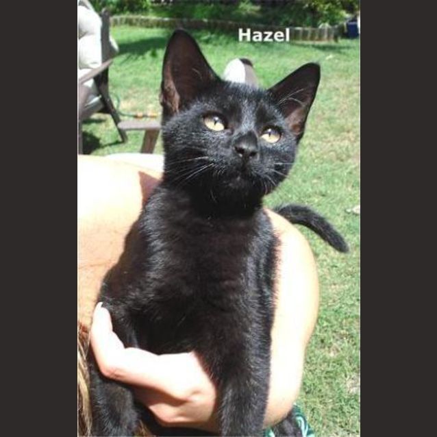 Photo of Hazel