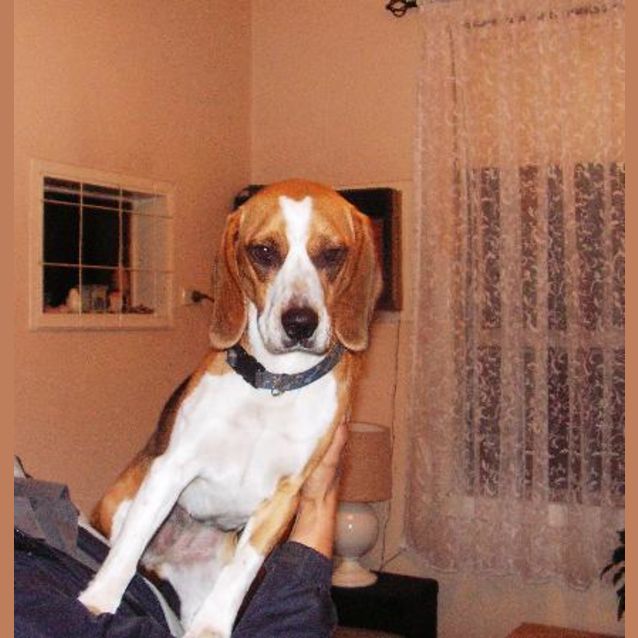 Photo of Lelia (On Trial)
