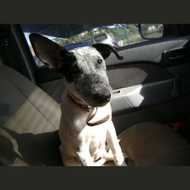 Photo of Sooty