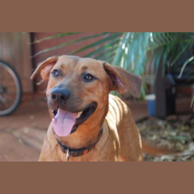 Photo of Roxy