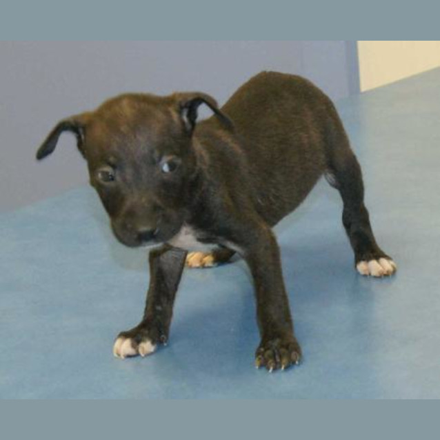 Photo of Keisha
