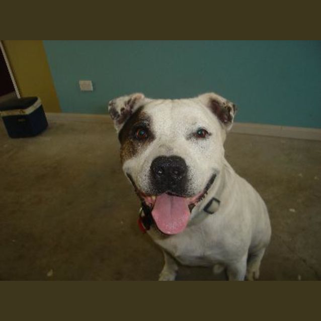Photo of Tonic