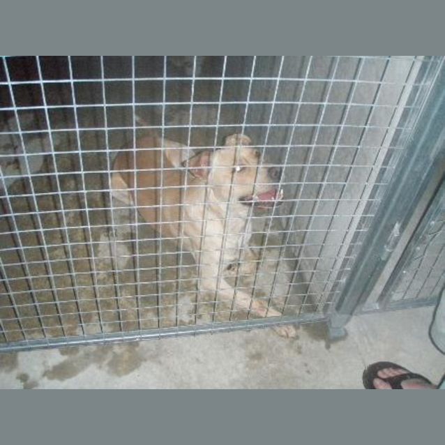 Photo of Urgent Nova Only Has Until Thurs4/2