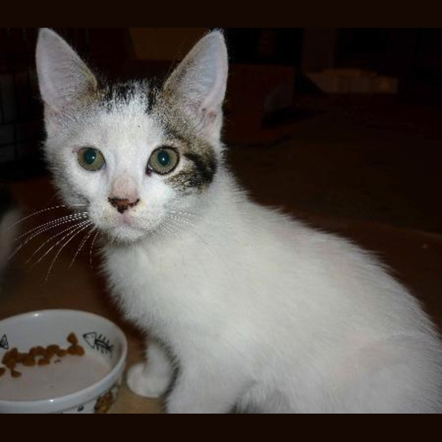 Photo of Climey