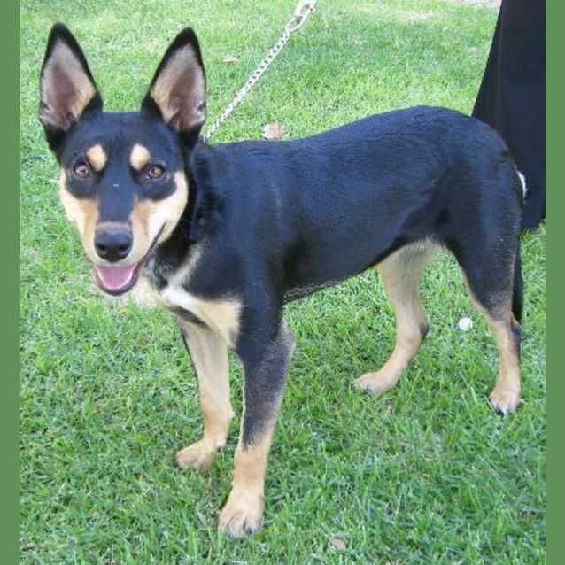 Photo of Tess