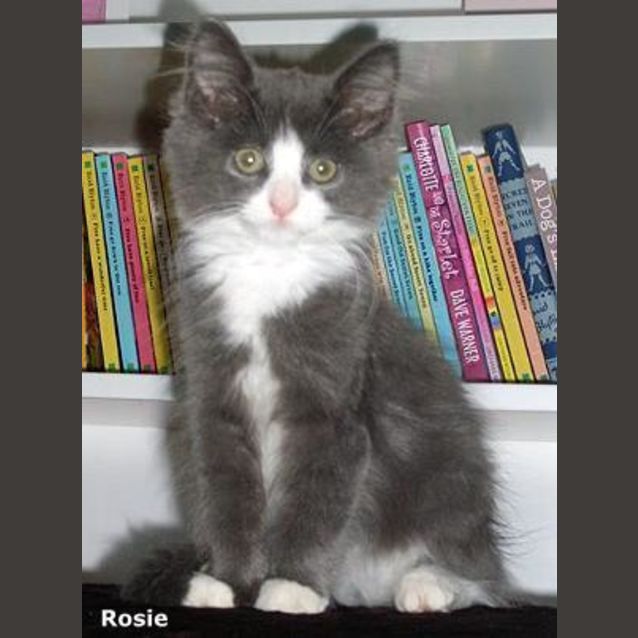 Photo of Rosie