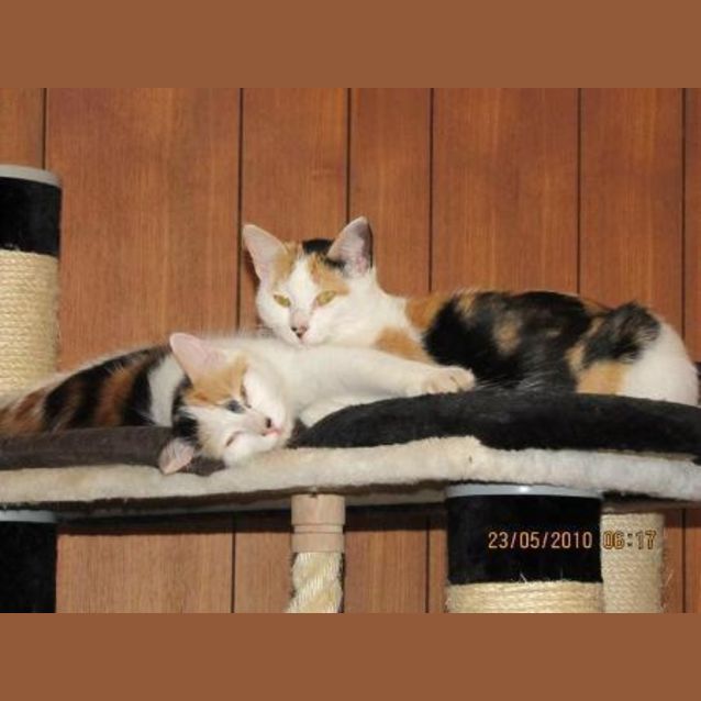 Photo of Tinkerbell & Tigerlilly