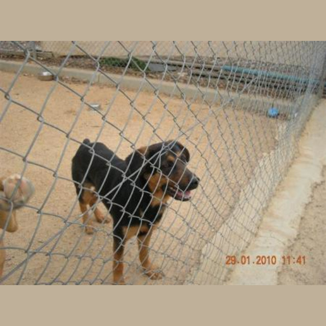 Photo of Mr Finicky Pinicky