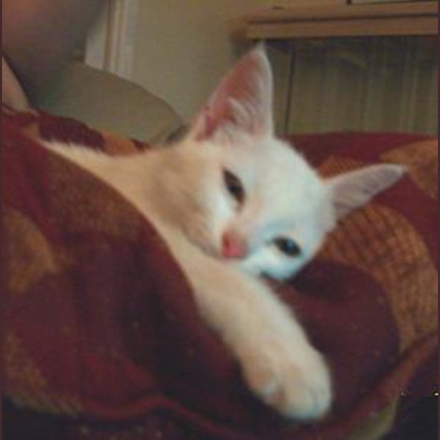Photo of Holly