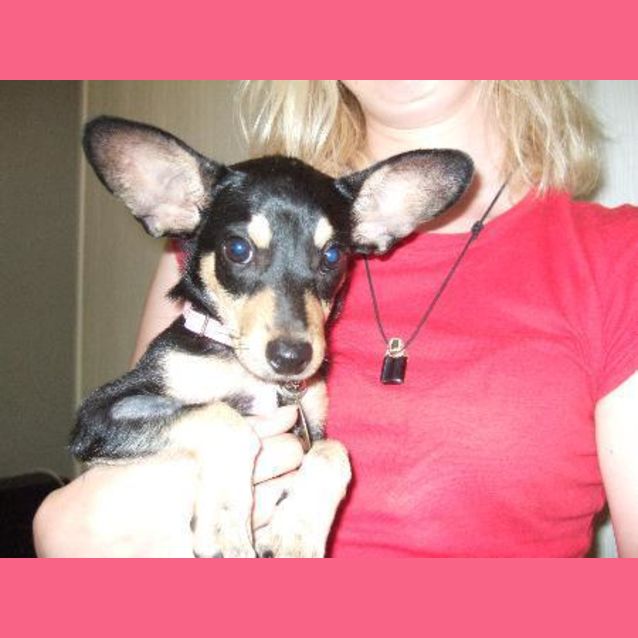 Photo of Magda