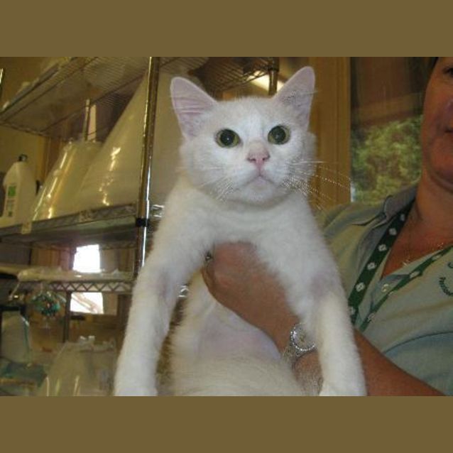 Photo of Polly