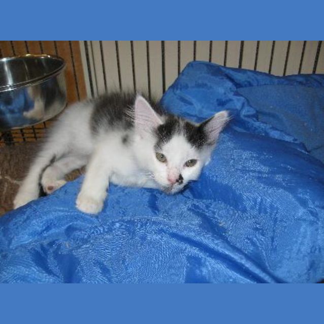 Photo of Quest