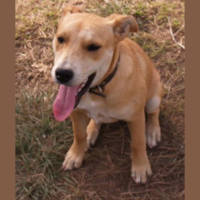 Photo of Bella