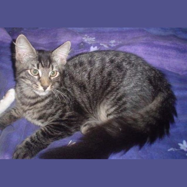 Photo of Thomas