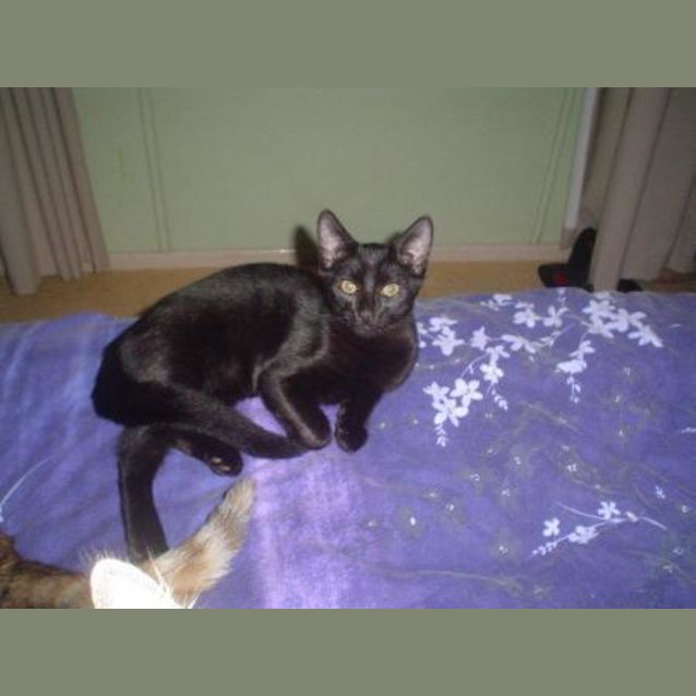 Photo of Spooky
