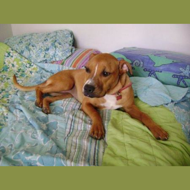 Photo of Dora