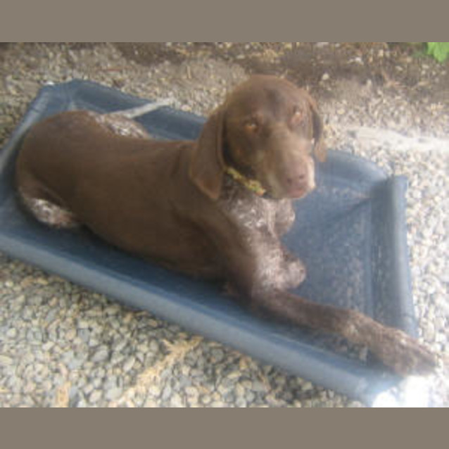 Photo of Wolfgang Is Trying A New Home!