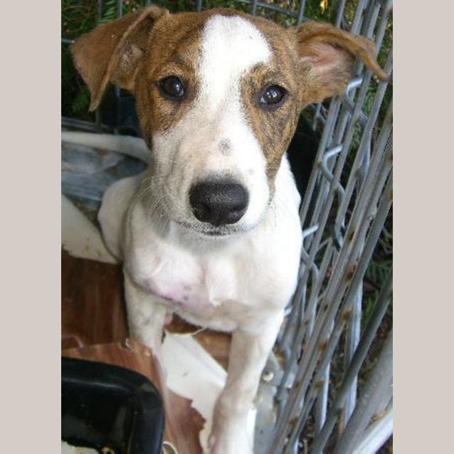 Photo of Monty