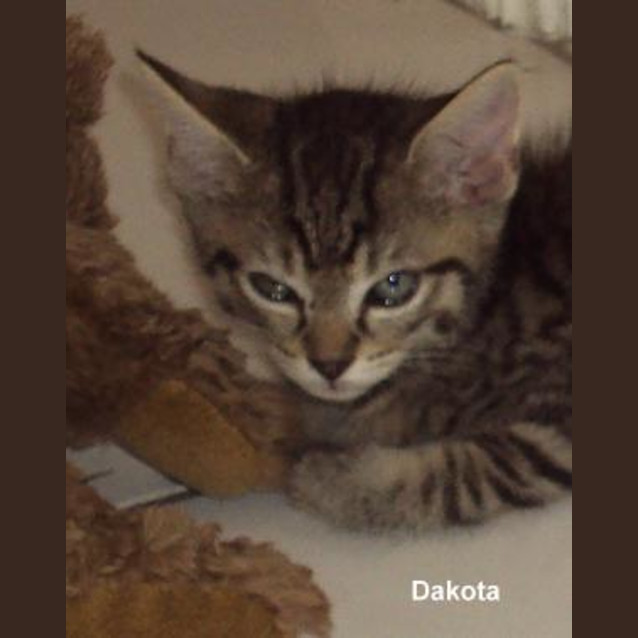 Photo of Dakota