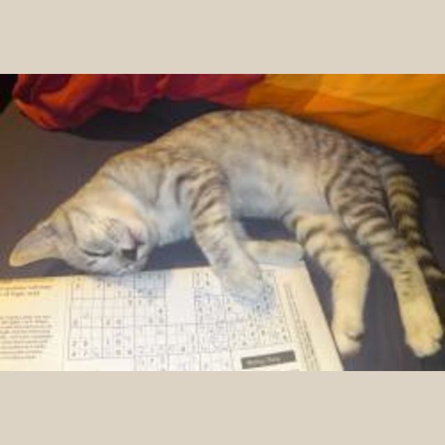 Photo of Smokey