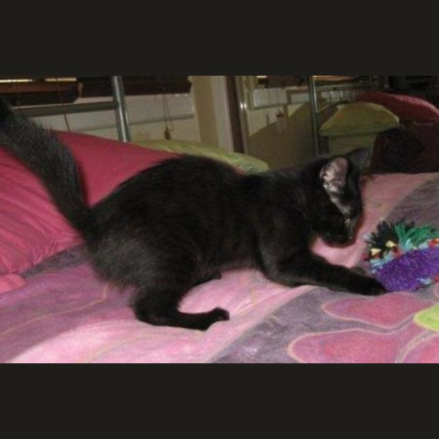 Photo of Jet