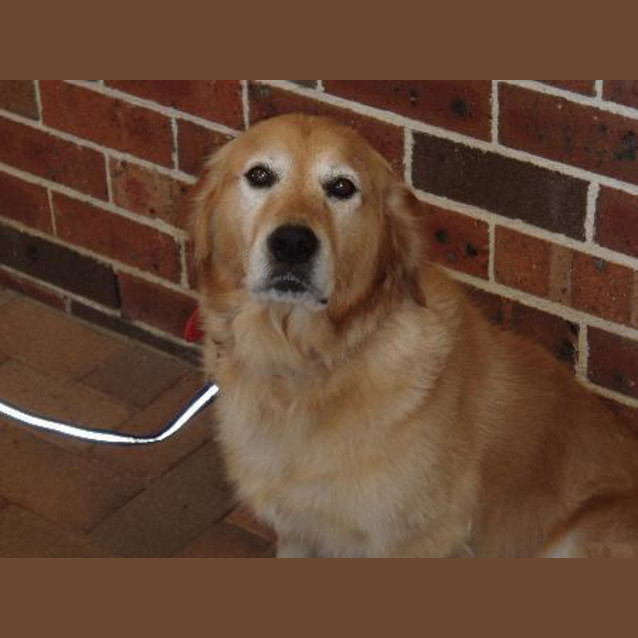 Photo of Roxy