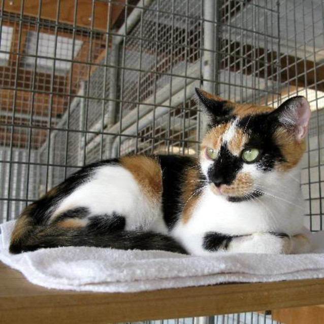 Photo of Polly