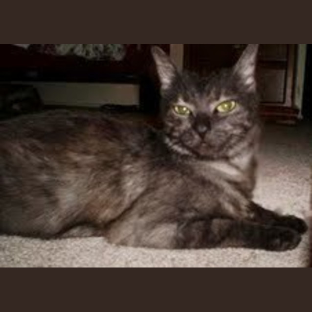 Photo of Janie