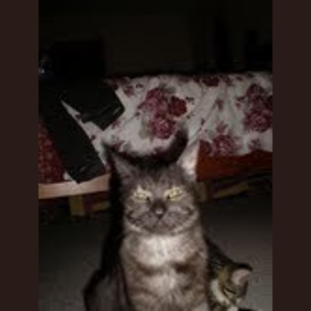 Photo of Janie