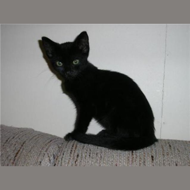 Photo of Charlie