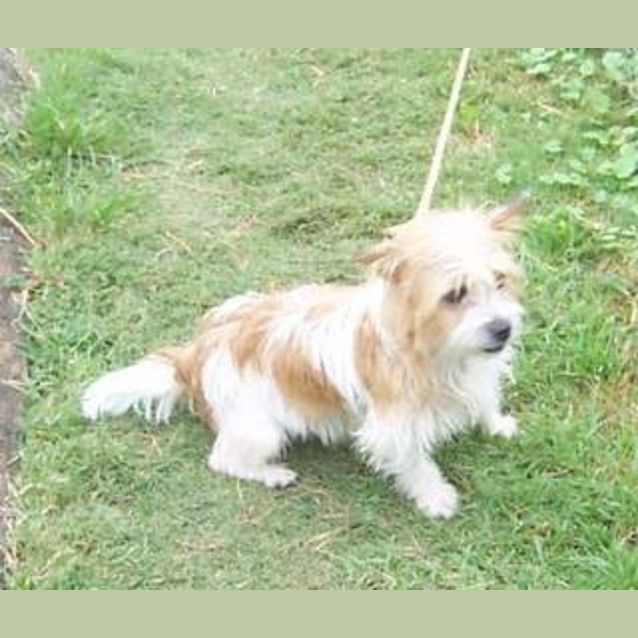 Photo of Wanda