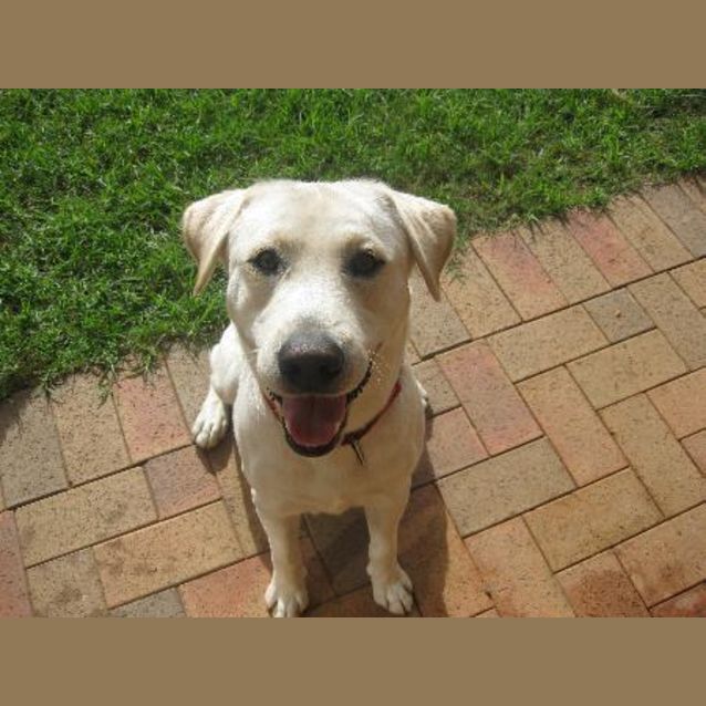 Photo of Max