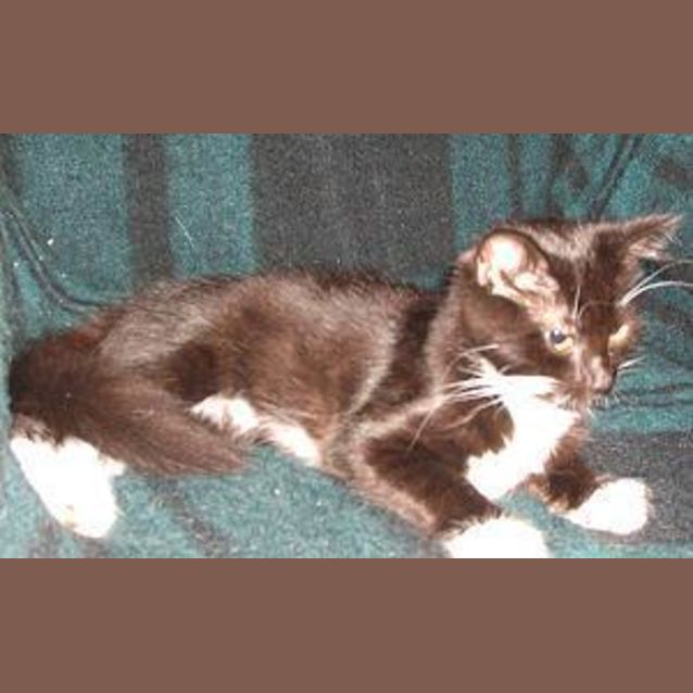 Photo of Kelly
