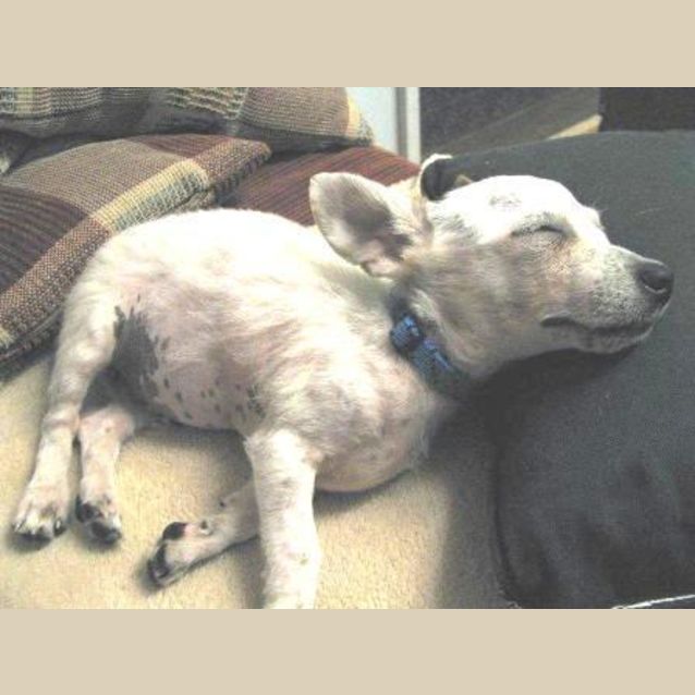 Photo of Jonah   Adopted