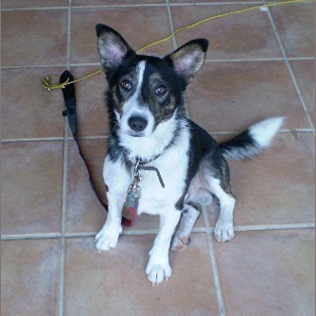 Photo of Flash