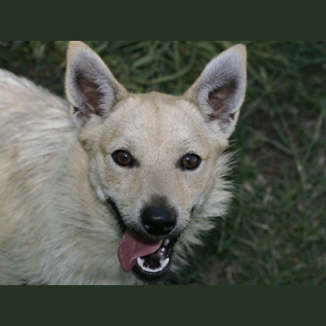 Photo of Max