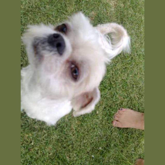 Photo of Fraggle