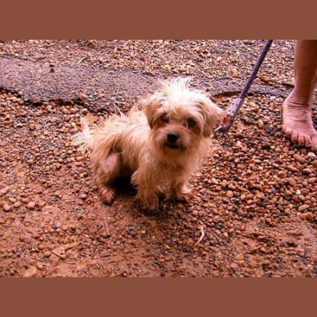 Photo of Shelby