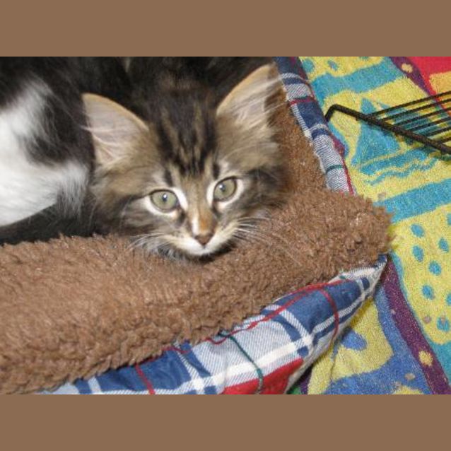 Photo of Tacita