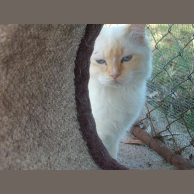 Photo of Monty
