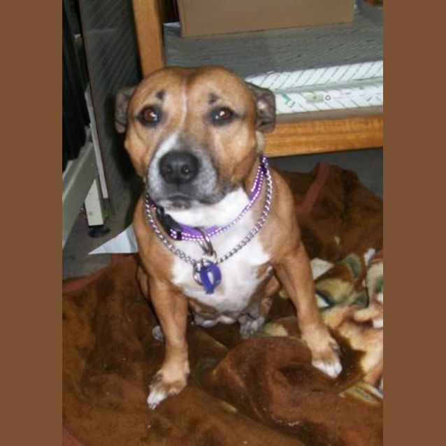 Photo of Missy