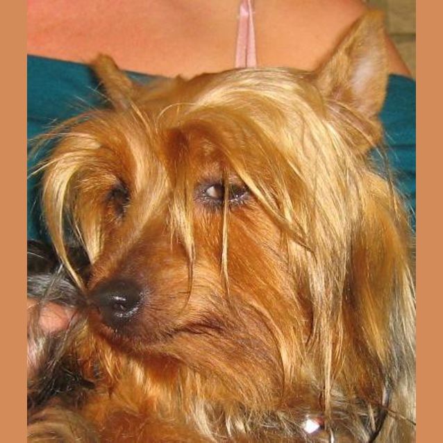 Photo of Penny (On Trial)