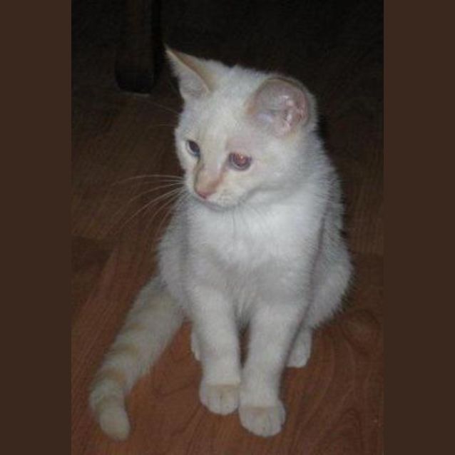 Photo of Nigel
