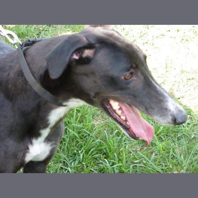 Photo of Maggie