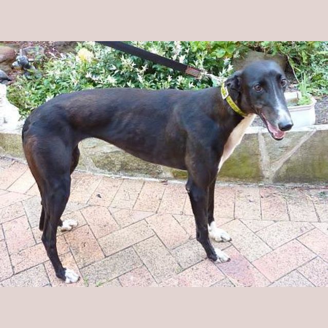 Photo of Susie