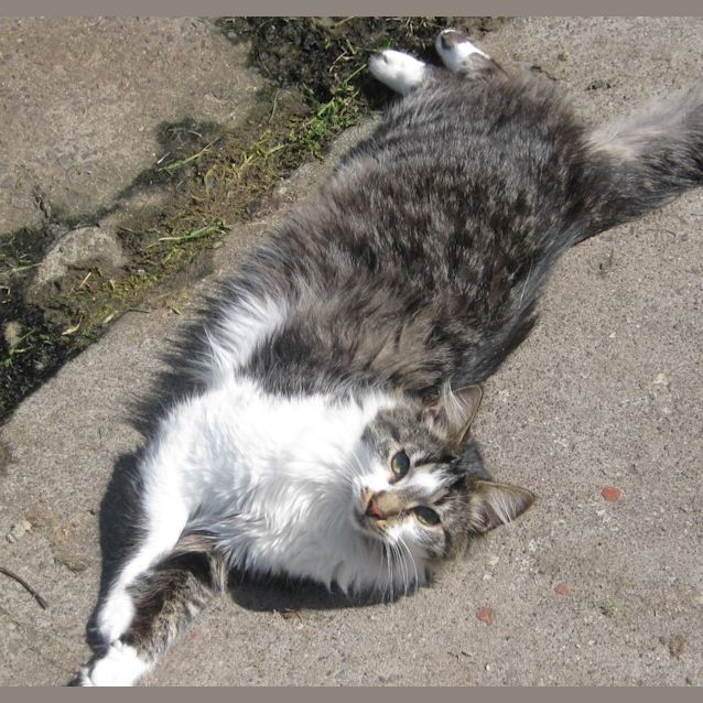 Photo of Wetherby Goode