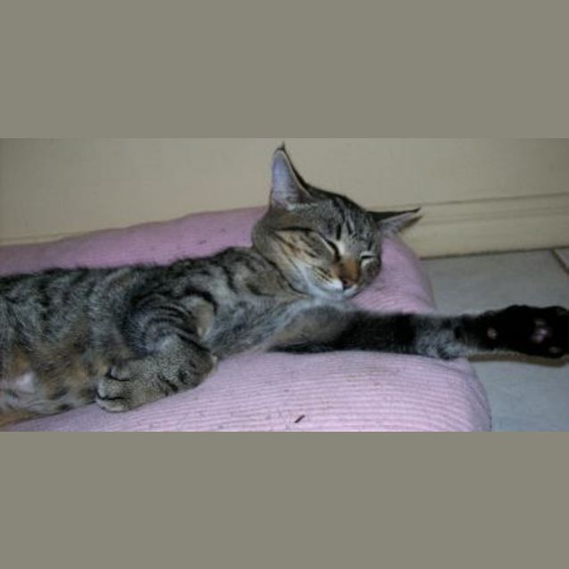 Photo of Sally