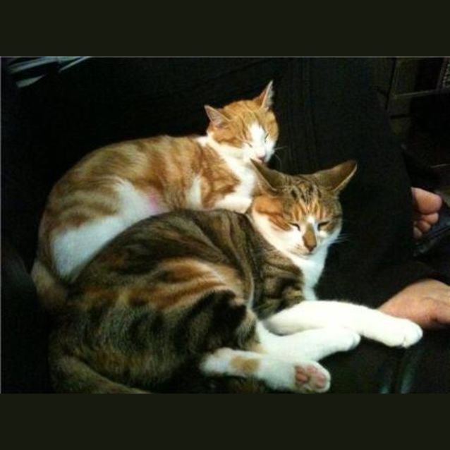 Photo of Rikkah And Eri