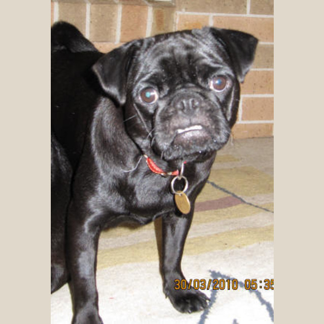 Photo of Winnie